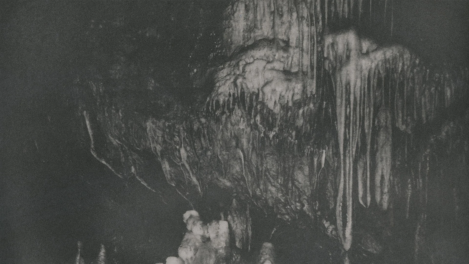 Julie van der Vaart – Blind Spot — Void